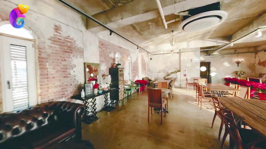 CAFTERIA DYNERIS SUIZA